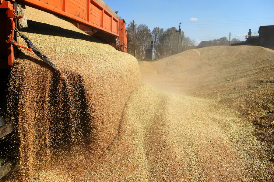 В России предлагают ввести экспортную пошлину на зерно