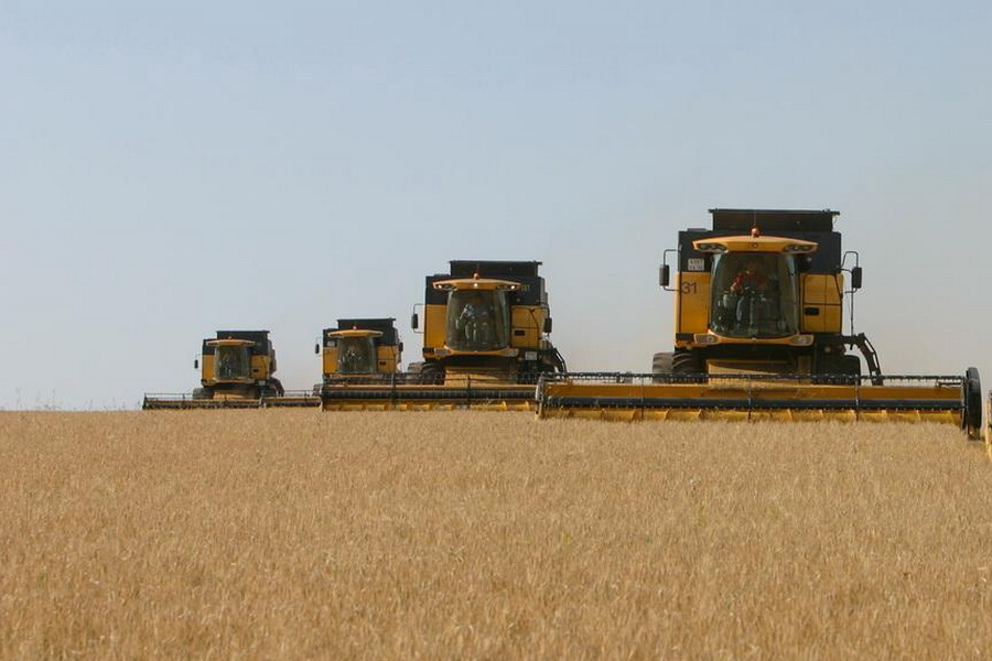 В Казахстане убрано 93,4% зерновых, намолочено 18,1 млн тонн зерна