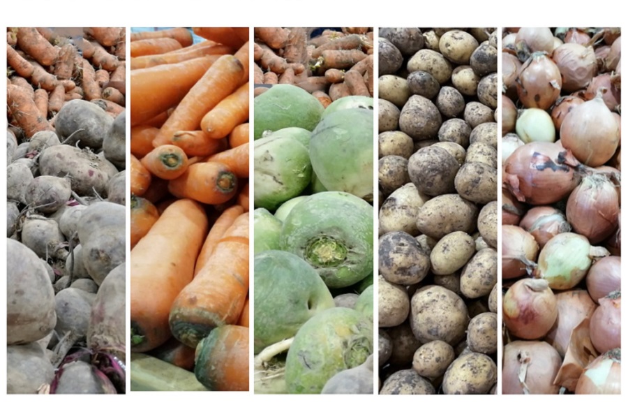Запасы овощей в Казахстане оказались меньше заявленных