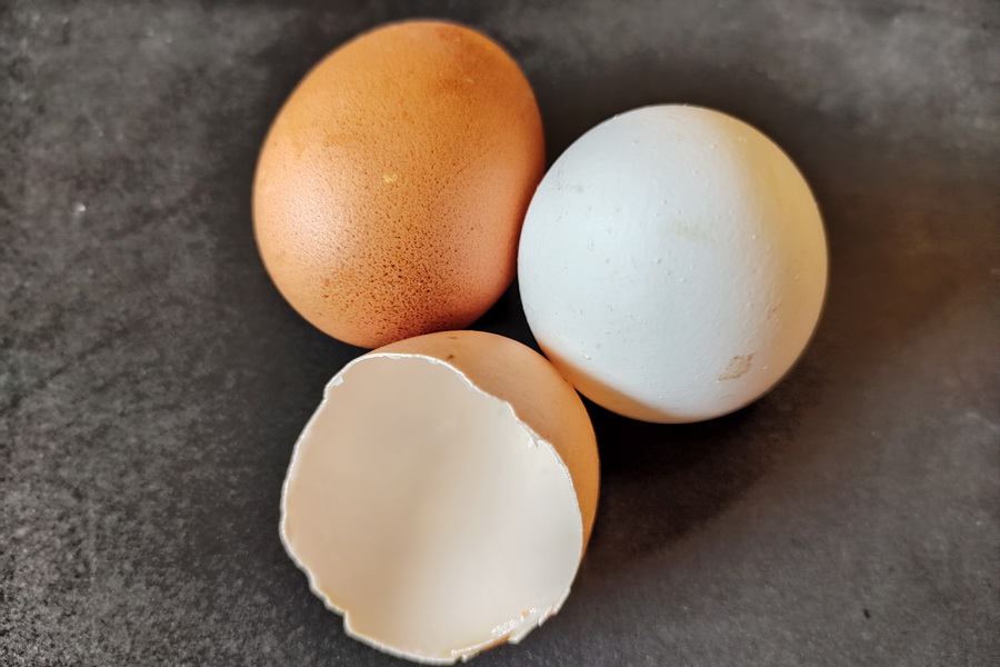 Госрегулирование цен на яйцо изменят в Казахстане