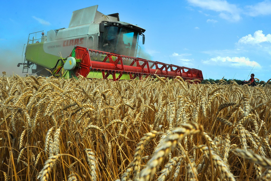 Казахстан и Россия могут стать крупнейшими поставщиками продовольствия в мире 
