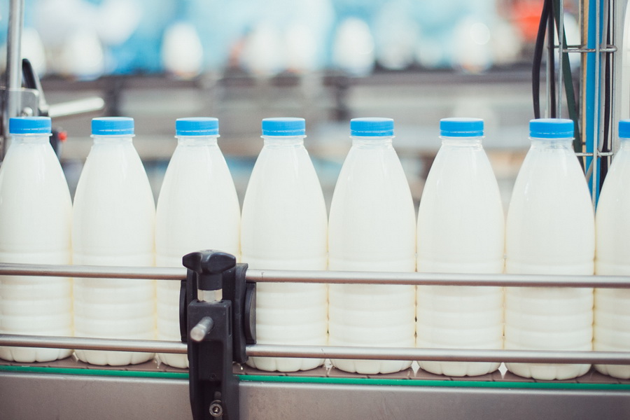 Рост цен на молоко ожидают к осени в России 