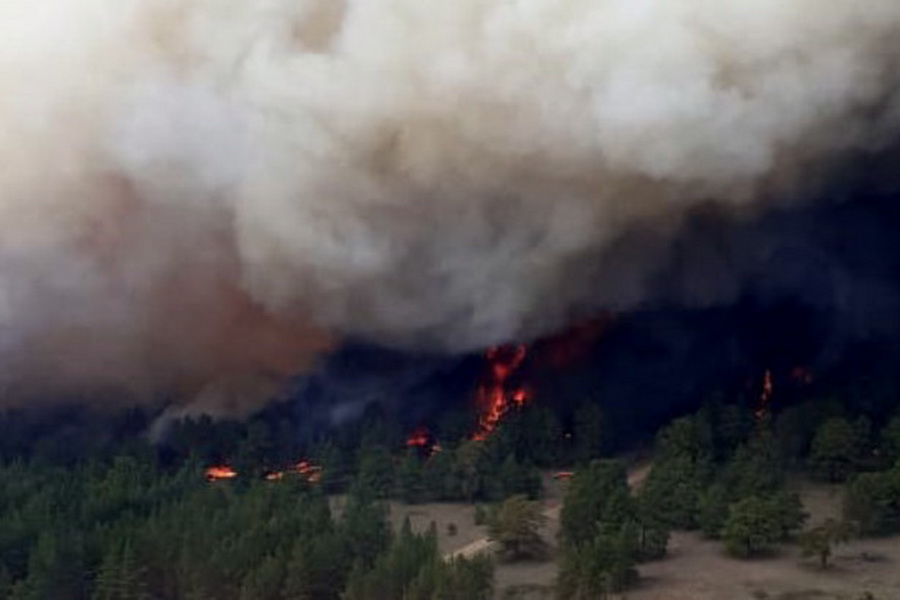 Лесной пожар на площади 2 тыс. га тушат в ВКО