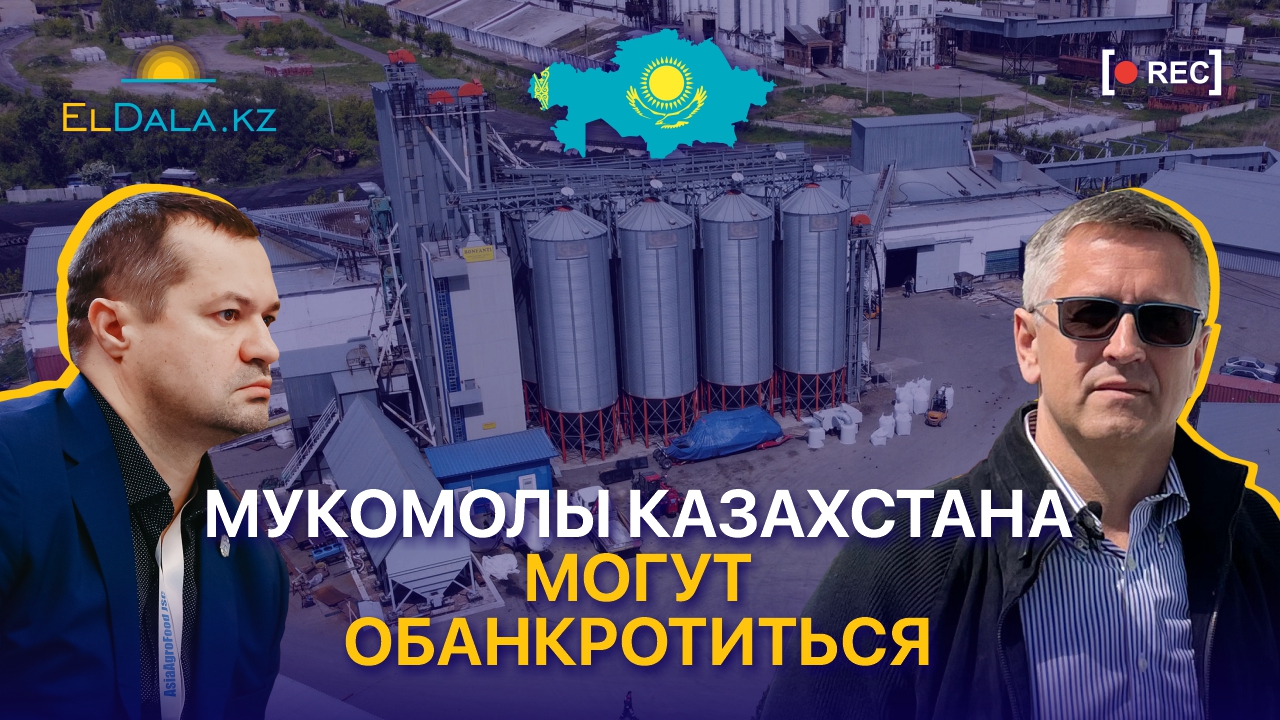 Как не потерять внутренний рынок муки в Казахстане: переработка, органика, конкуренция