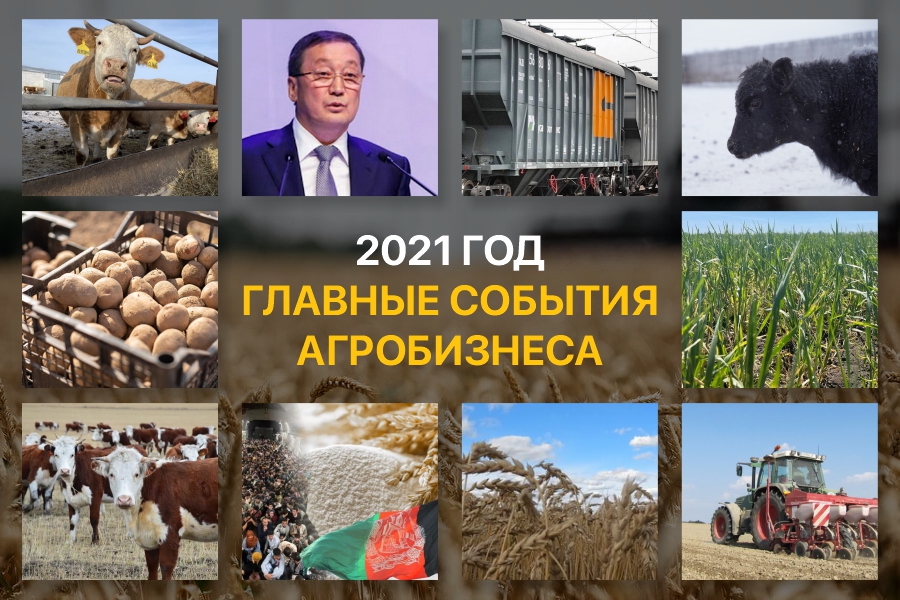 Главные события агробизнеса Казахстана в 2021 году