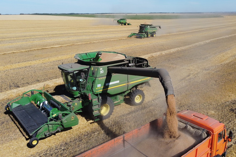 Падение производства пшеницы в Украине на 21% прогнозирует USDA