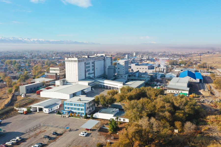 Завод РК экспортировал 10 тыс. тонн комбикорма в Узбекистан