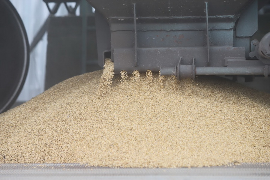 Полного запрета на экспорт зерна и муки не будет
