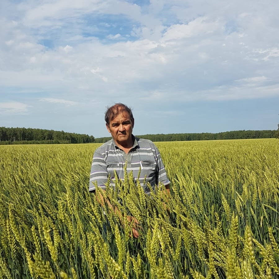 Фермеры Казахстана готовят качественные семена к посевной-2024
