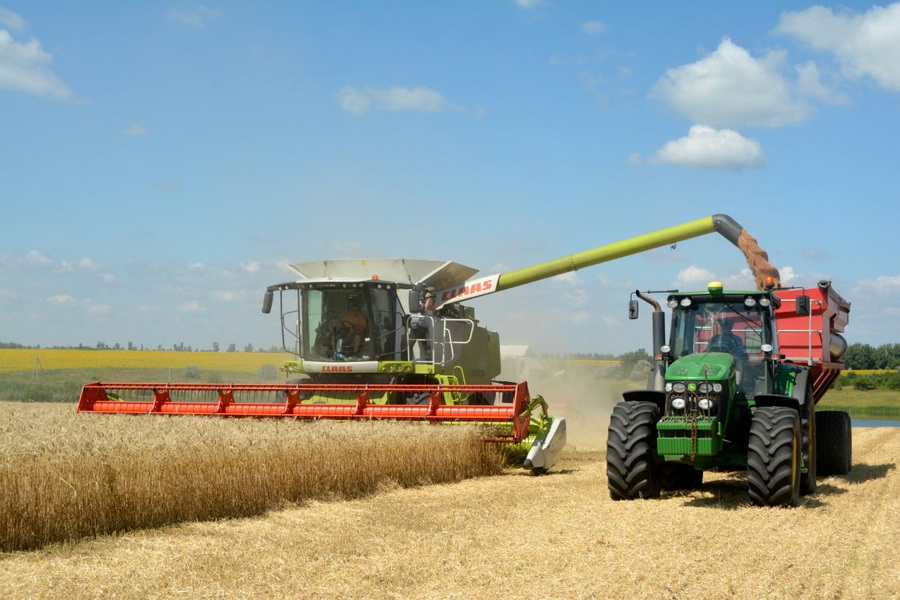 В Казахстане убрано 14% площади зерновых