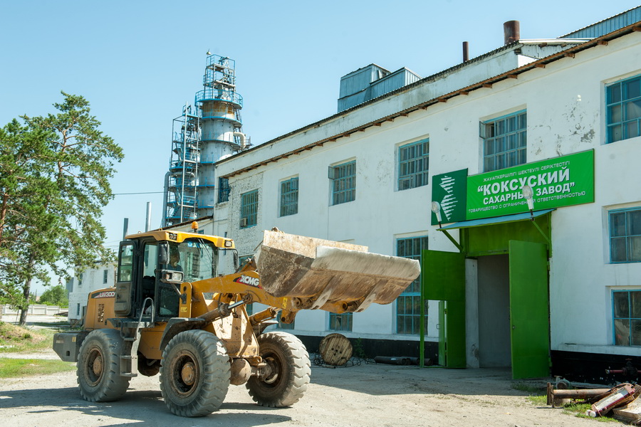 Коксуский сахарный завод в 2020 году увеличит переработку на 20 тыс. тонн