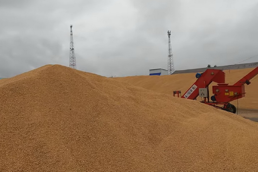 Казахстан сократит поставки зерна и муки в КНР контейнерами