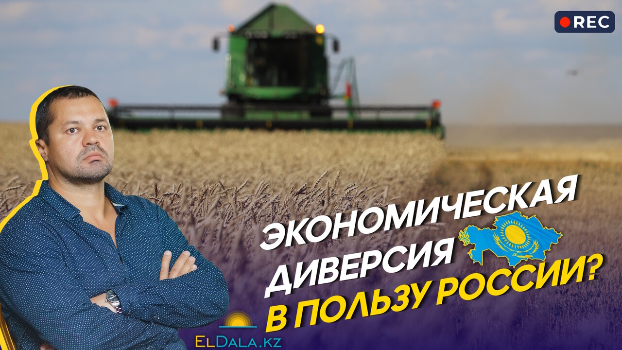 Пошлина на экспорт казахстанской пшеницы: кому выгоден удар по фермерам?