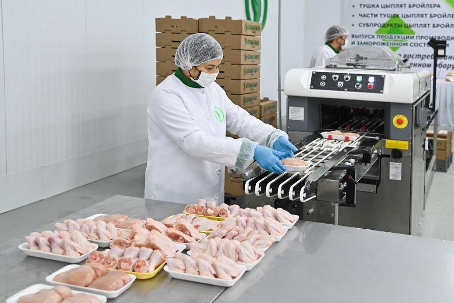 Птицефабрика мощностью 5 тыс. тонн мяса в год запущена в СКО 
