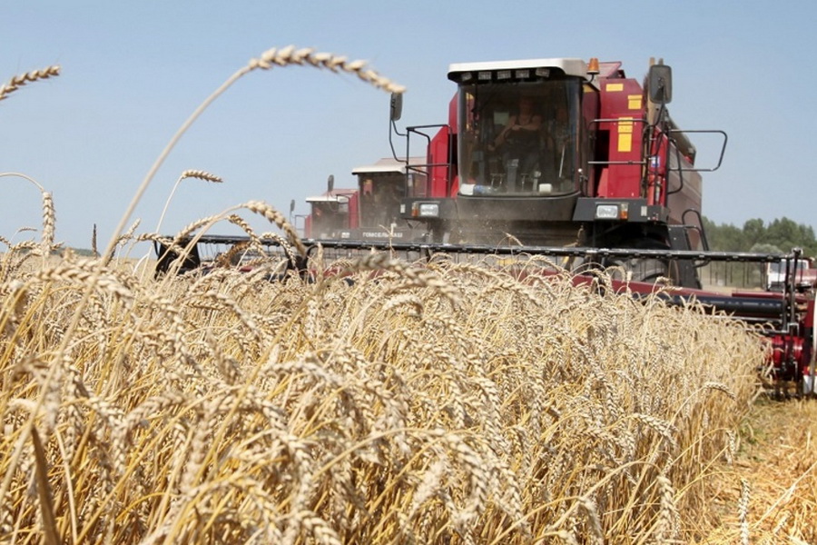 В Казахстане намолочено 14,8 млн тонн зерна