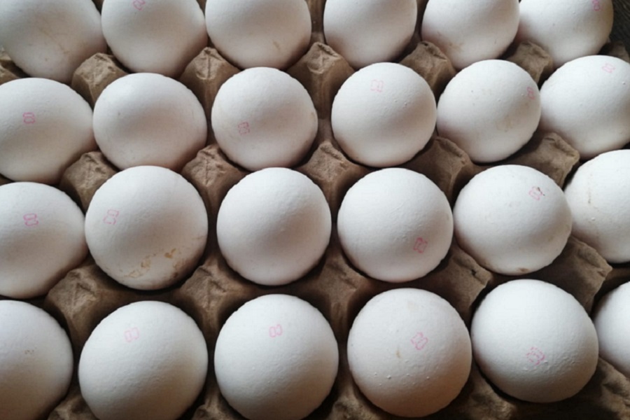 Производители яйца жалуются на перекупщиков в ЗКО