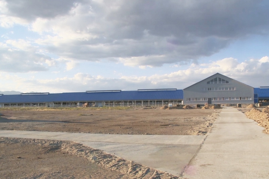 В Алматинской области запускают еще одну «умную» молочную ферму 