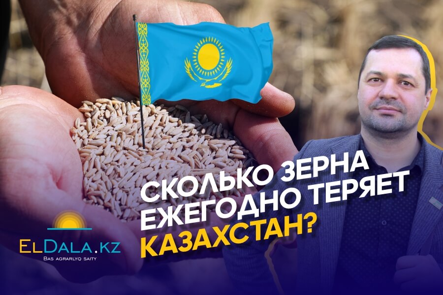 Некачественные семена, недостаток удобрений, старая техника и слабое кредитование АПК Казахстана