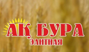 АК БУРА