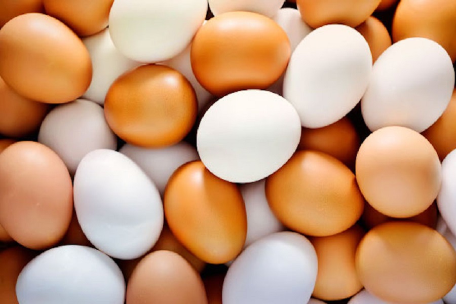 Производство яиц в Казахстане снизилось на 8%