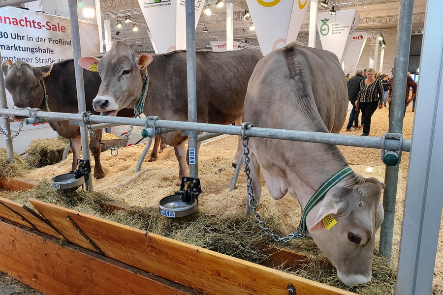 Выставка животноводства EuroTier 2026 пройдёт 10–13 ноября в Ганновере