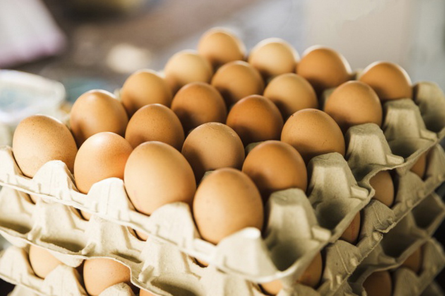 Производители яиц просят открыть экспорт в Китай