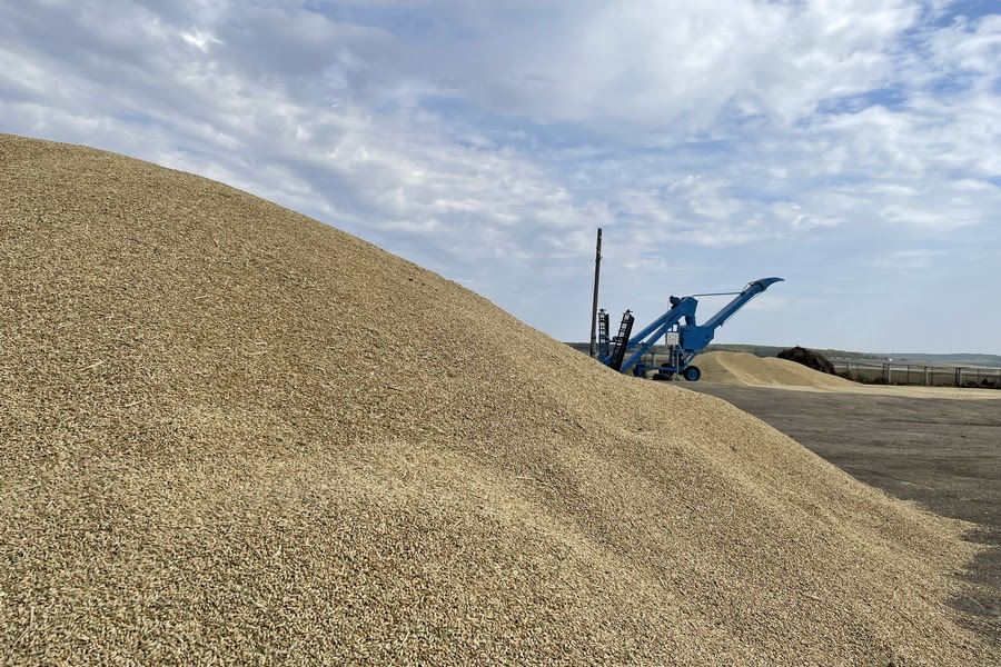 Запасы зерна в Казахстане превышают 18,5 млн тонн