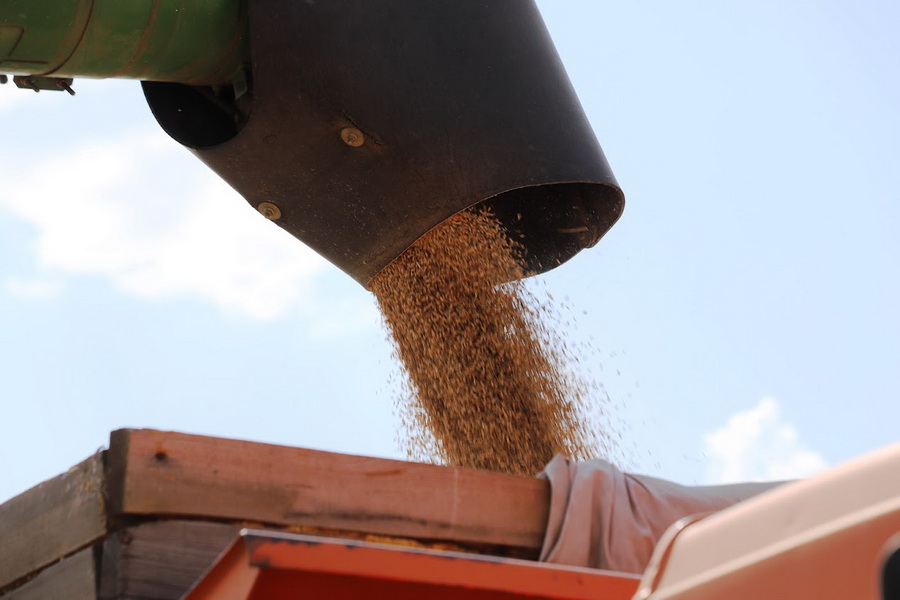 Контрабанда зерна в Казахстан пошла речным транспортом