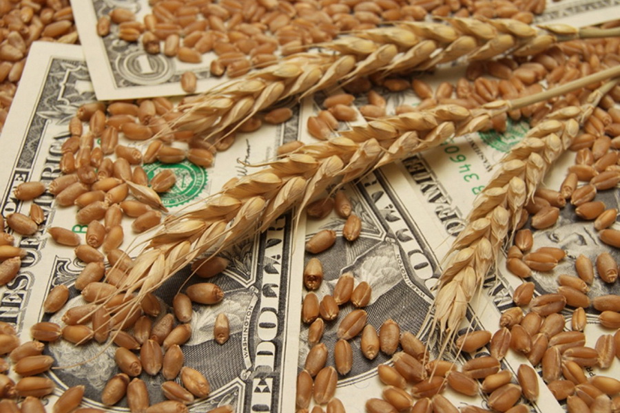 Для участников зернового рынка разработан упрощенный возврат НДС