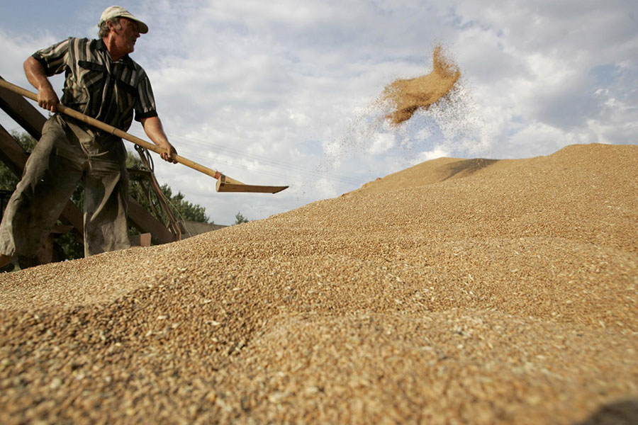 Россия сохранит квотирование экспорта зерна – АгроДайджест №30