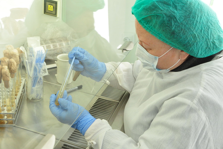 В Казахстане разработают вакцины от ящура и болезни Ньюкасла