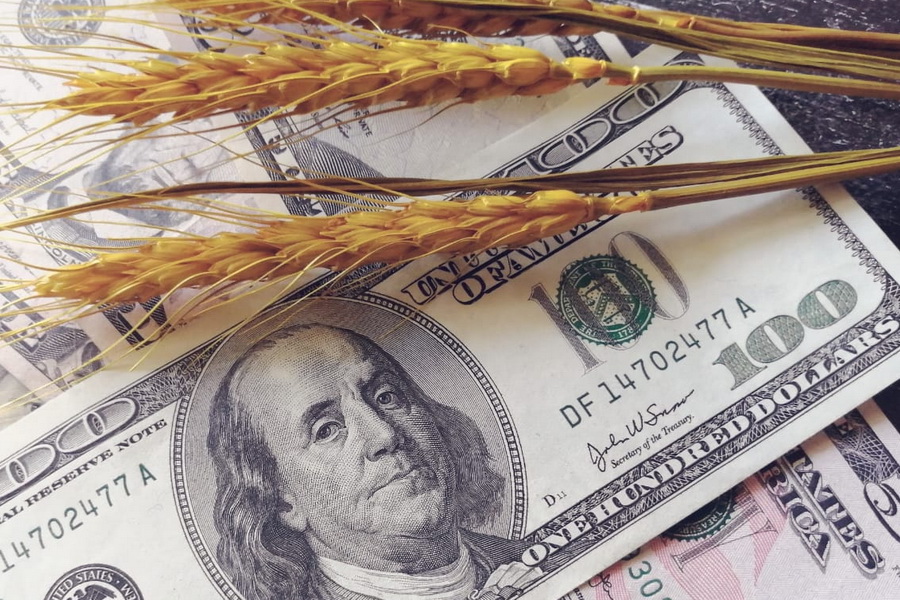 Тенге серьезно ослаб, цены на пшеницу нестабильны