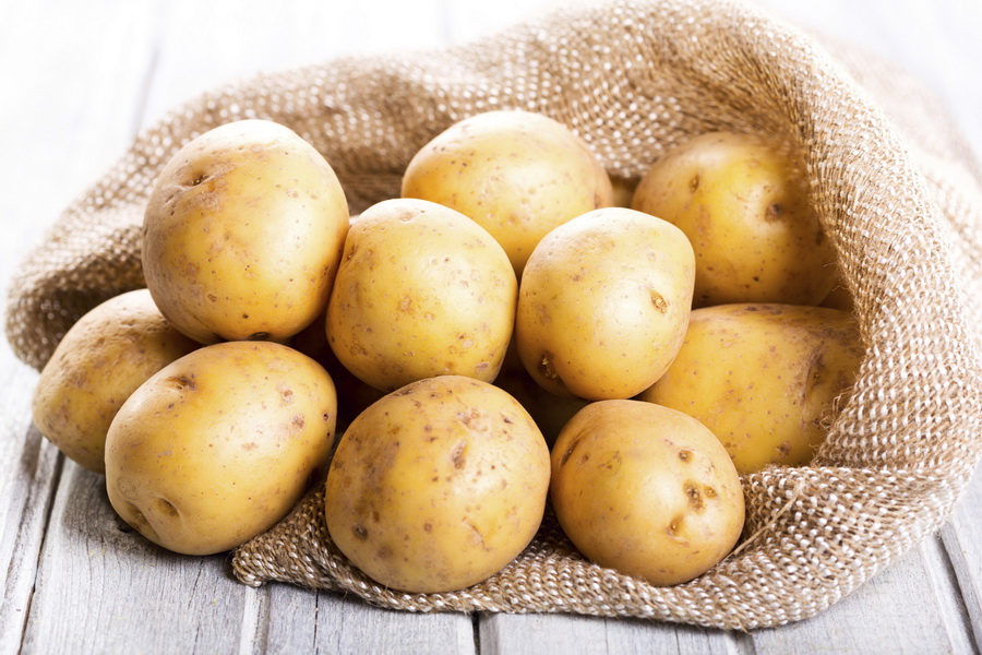 В Казахстане проведут эксперимент по посеву картофеля