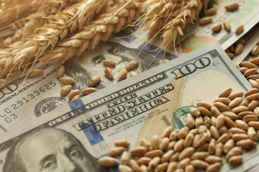 Экспортная цена на казахстанскую пшеницу упала до $270 за тонну