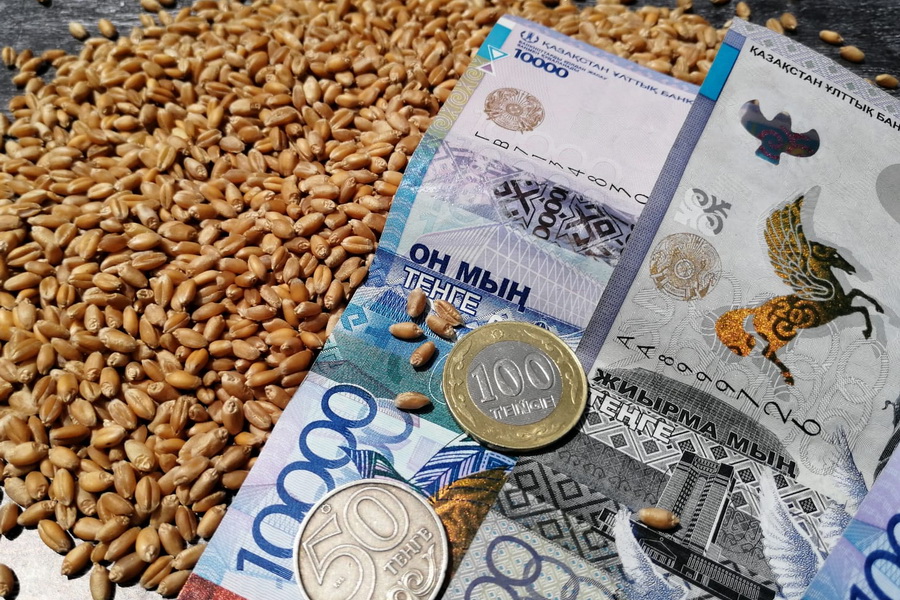 Цены на пшеницу в Казахстане упали до 115 тыс. тенге/тонна