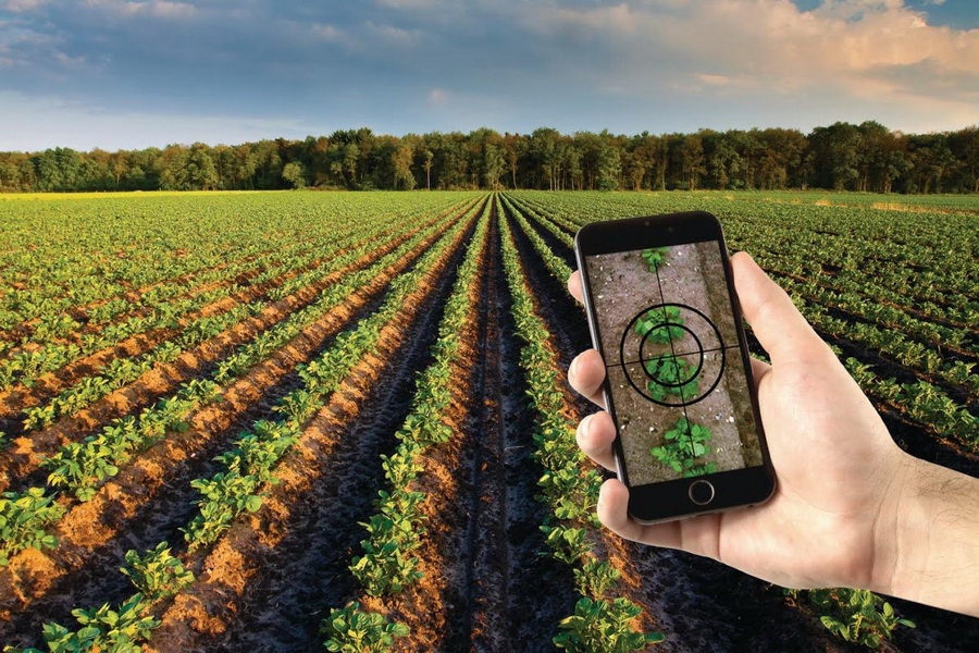 В МСХ подсчитали эффект применения фермерами цифровых технологий