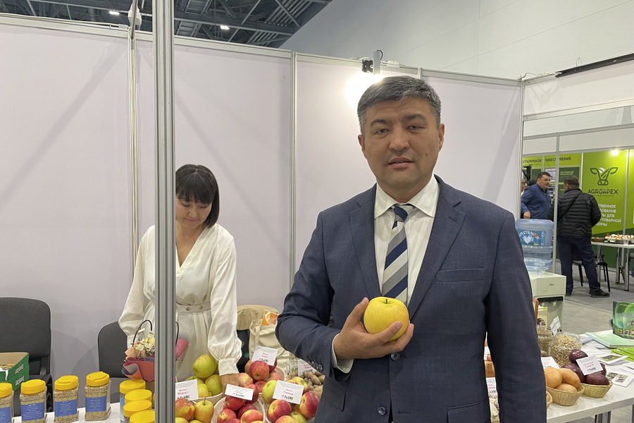 Казахстанские сорта яблок представили на KazAgro