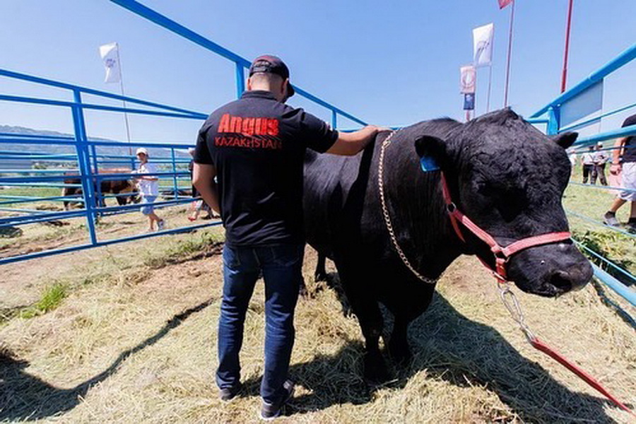 Ходжаназаров поздравил фермеров с днем животноводов