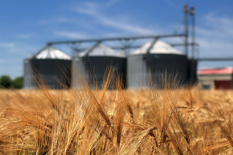 Запасы зерна в Казахстане составляют 5,4 млн тонн
