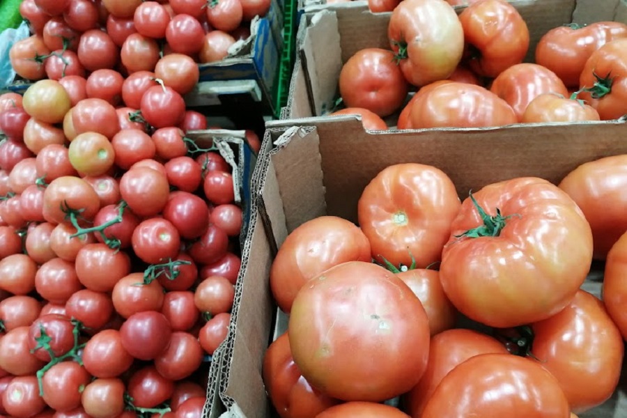 Крупную партию зараженных томатов из РК выявили в РФ